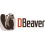 DBeaver Lite Edition Yearly Subscription