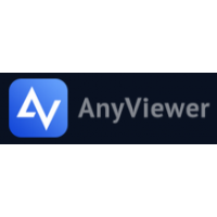 Anyviewer Professional ( 1 Year 1 User )