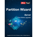 MiniTool Partition Wizard Server Lifetime