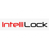 IntelliLock Single Developer License
