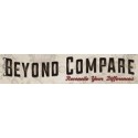 Beyond Compare 5 Standard Edition, per user (5-9)