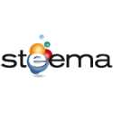 Steema One Year Priority Support