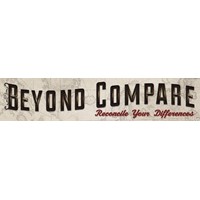 Beyond Compare 5 Pro Edition, per user (10-49)