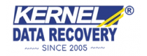 Kernel Data Recovery